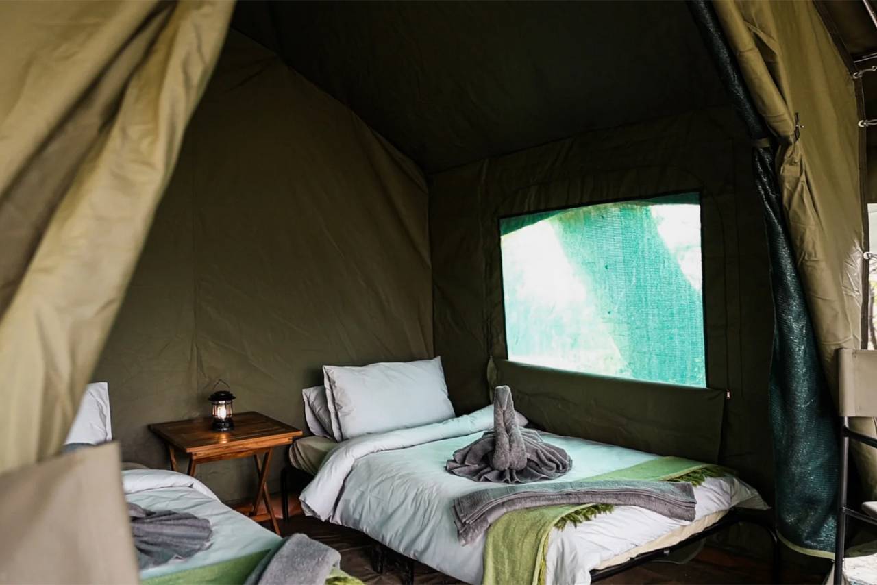 Wild Spirit Travel