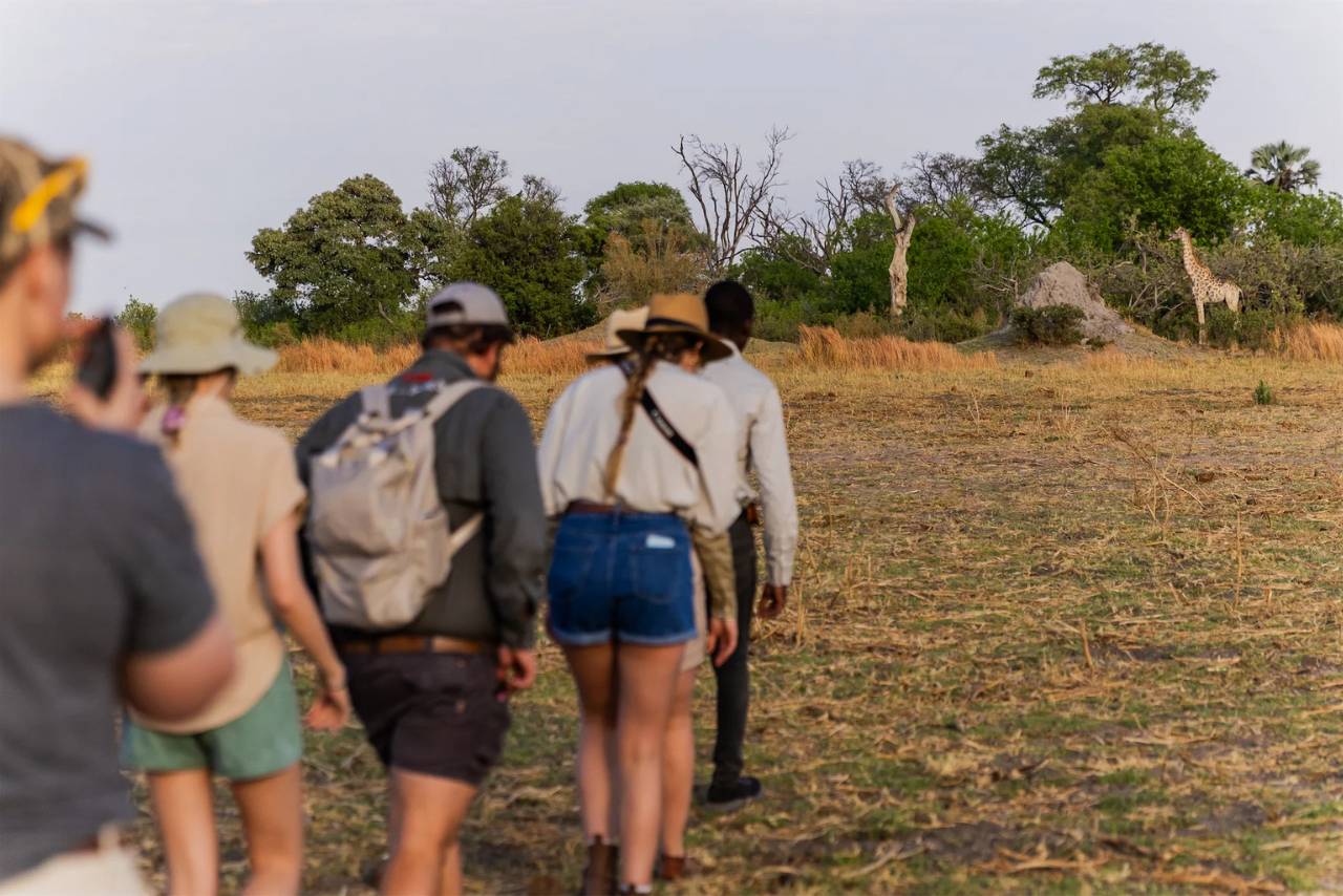 Wild Spirit Travel
